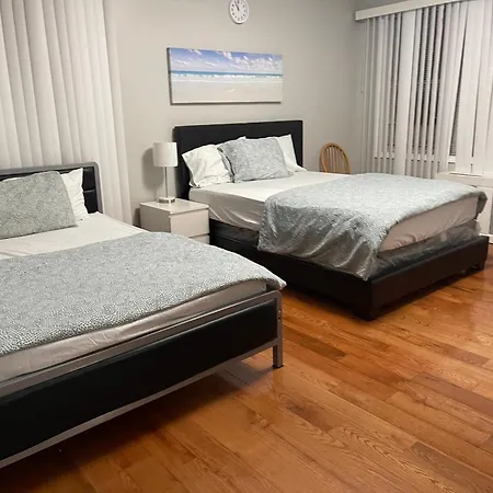 Large 1 Bedroom In The Heart Of The Bronx Apartment