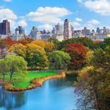 3 Bed Modern Apt In Prime Location Apartment New York