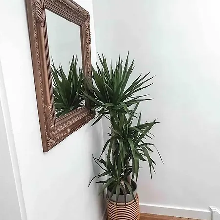 Cozy Portland Ave Apartment *