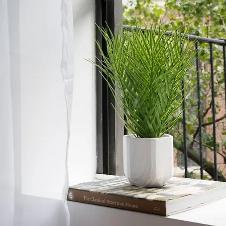 403-3c Newly Renovated 3br In Prime Ues New York