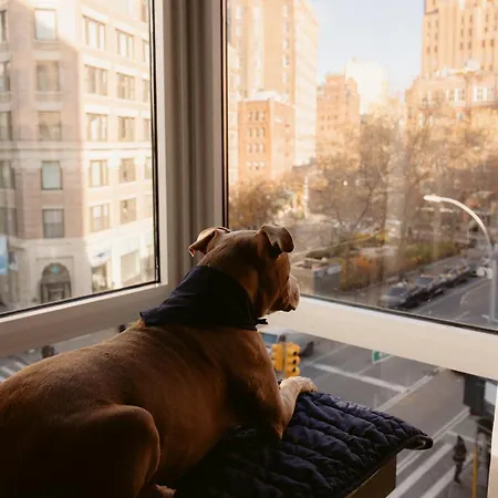 Smyth Tribeca Hotel 4*
