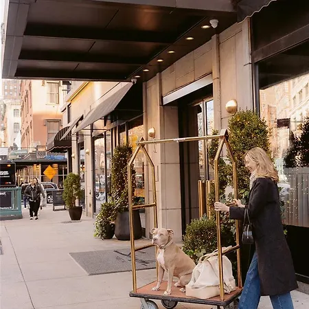 Smyth Tribeca Hotel 4*