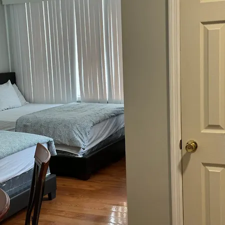 Large 1 Bedroom In The Heart Of The Bronx Apartment *