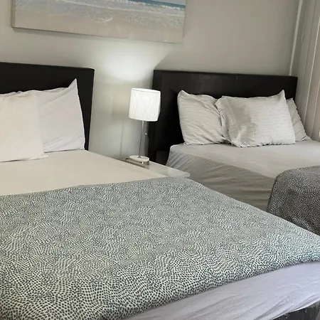 Large 1 Bedroom In The Heart Of The Bronx New York