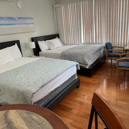 Large 1 Bedroom In The Heart Of The Bronx * New York