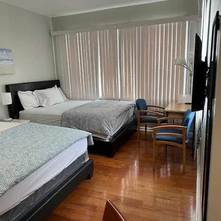 Large 1 Bedroom In The Heart Of The Bronx Apartment