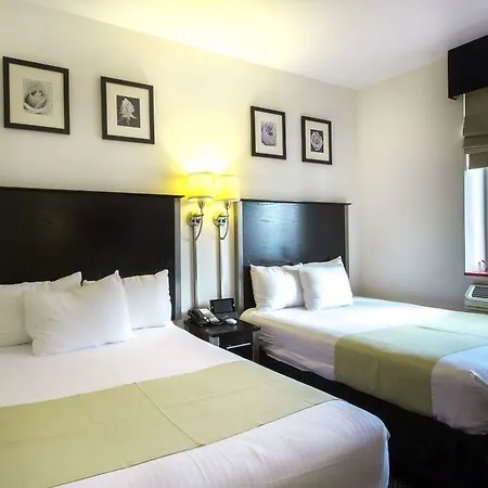 36 Hudson (adults Only)
