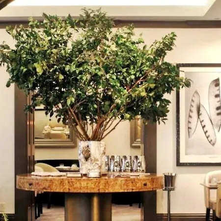 Chandler Hotel 4*