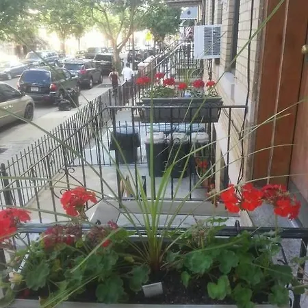 Superb 3 Bedroom In Bushwick/ridgewood New York