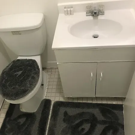 Apartment Cozy Studio Located In Midtown East New York
