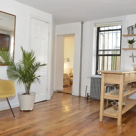 Classic Bed-stuy Brownstone Garden
