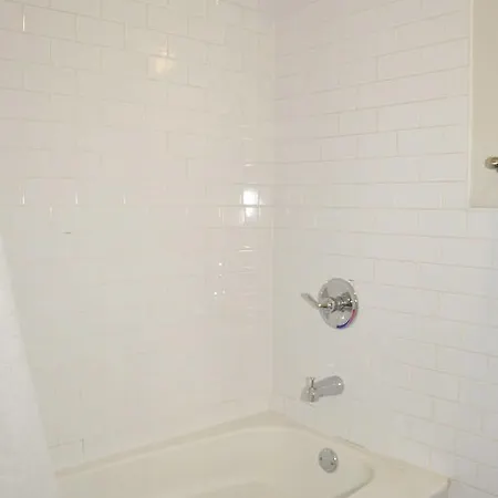 Classic Bed-stuy Brownstone Garden Apartment