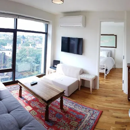 Best In Brooklyn- Private Two Bedroom In New Luxury Elevator Building