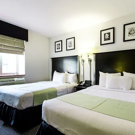 36 Hudson (adults Only)