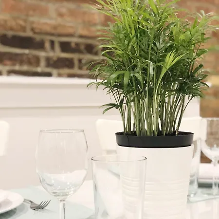 Apartment Luxury Sohostyle 2 Bedroom In Downtown Manhattan - Apt #5 Apts