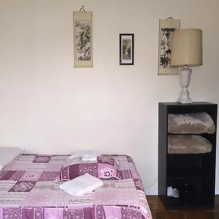 Vacation Rentals Of Nyc Apartment New York