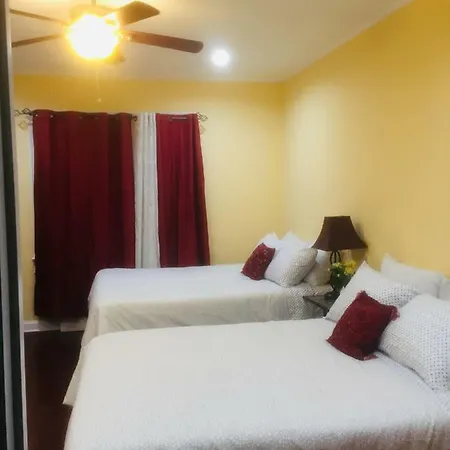 Spacious Yellow In Brooklyn Guest house New York