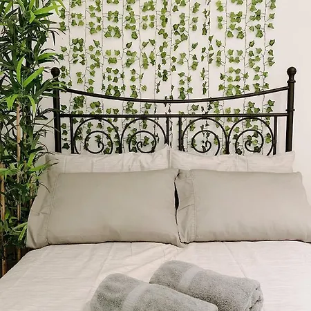 Green Apartments. Center Of Nyc Apartment *