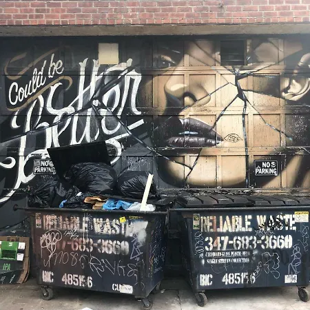 Green Flat With Patio In Artistic Best Bushwick *