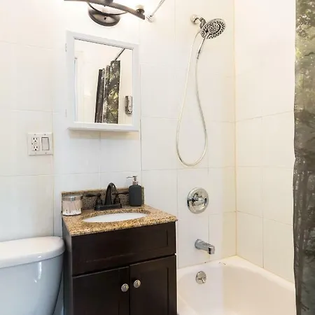 Apartment Green Flat With Patio In Artistic Best Bushwick New York