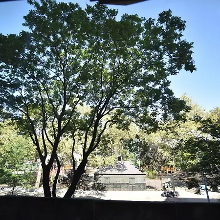 Homestay Beautiful *