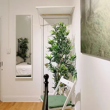 Green Apartments. Center Of Nyc