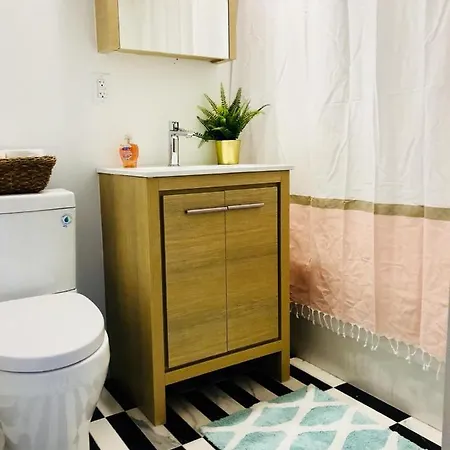 Modern And Newly Renovated 3 Bedroom In Greenpoint Apartment