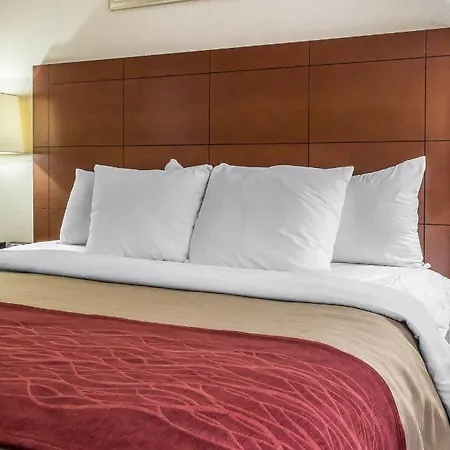 Comfort 4*