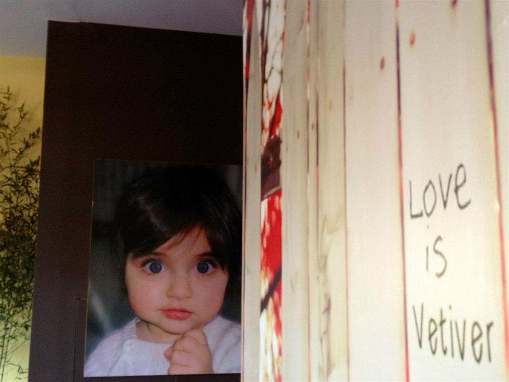 Vetiver / Manhattan Skyline