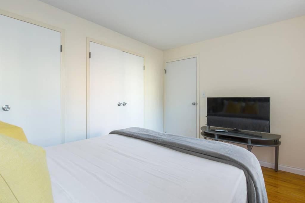 Elegant And Comfortable Apartment