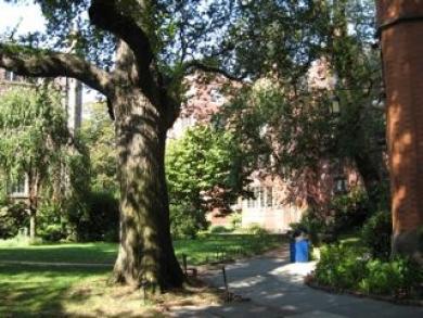 Hotel The High Line New York