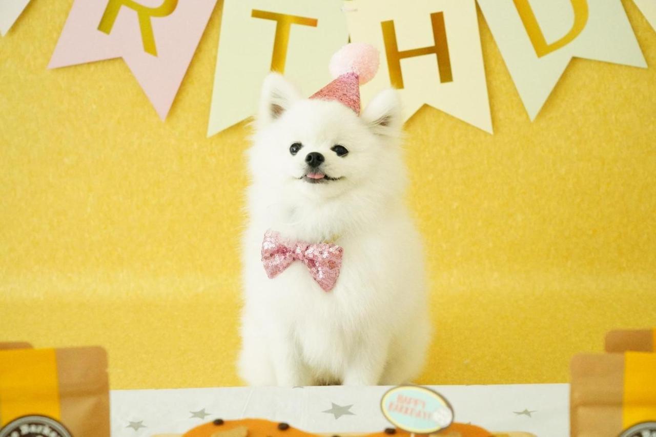 Citadines Connect Fifth Avenue 3*