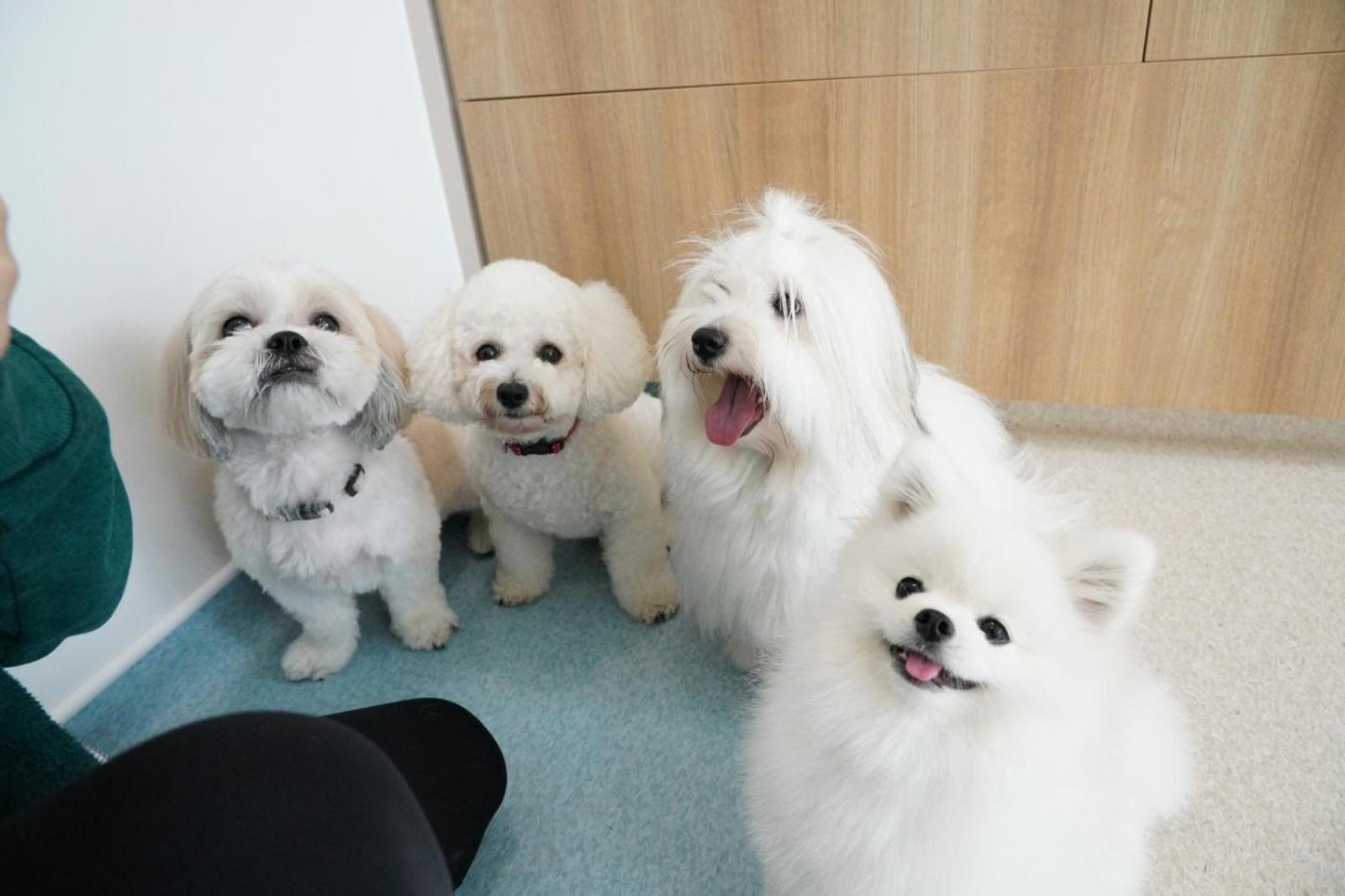 Citadines Connect Fifth Avenue Hotel New York