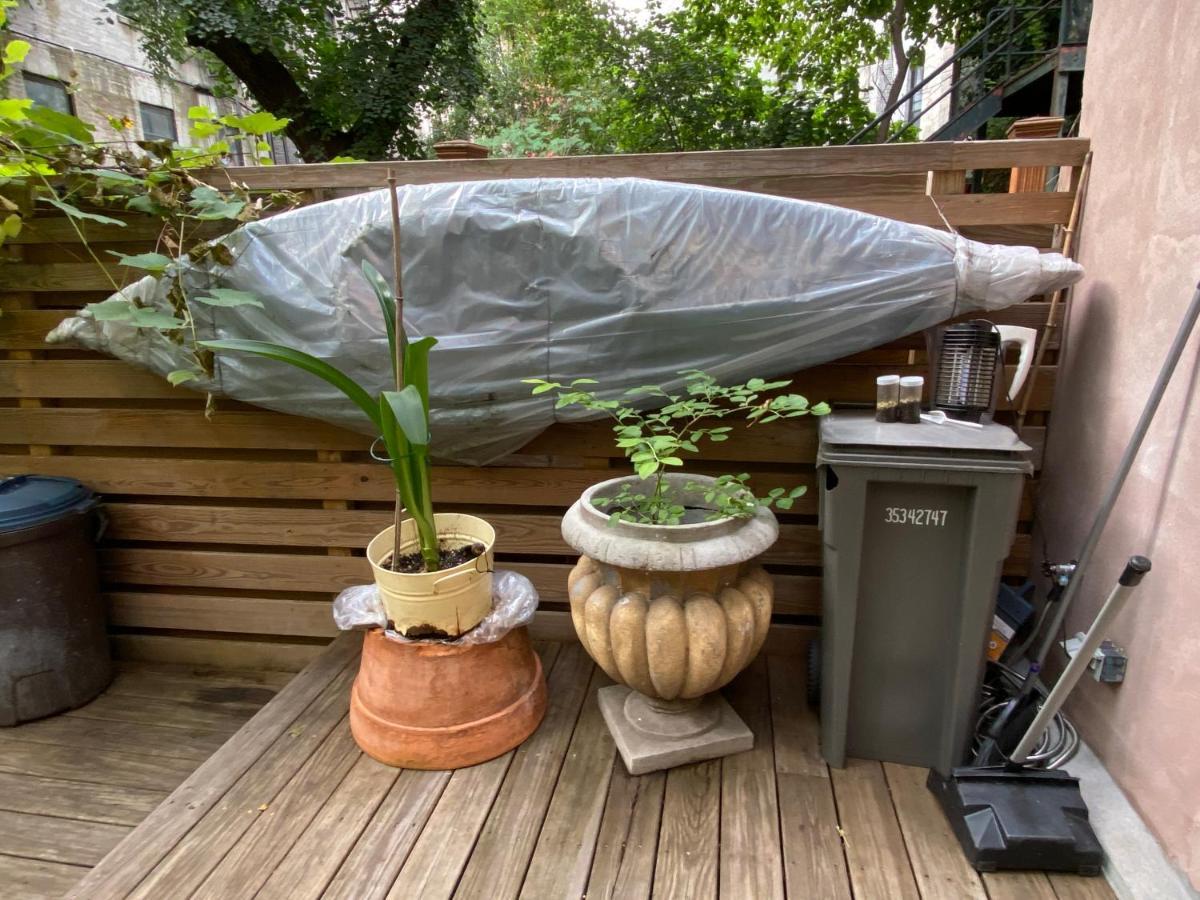 Northern Lights Mansion 4*