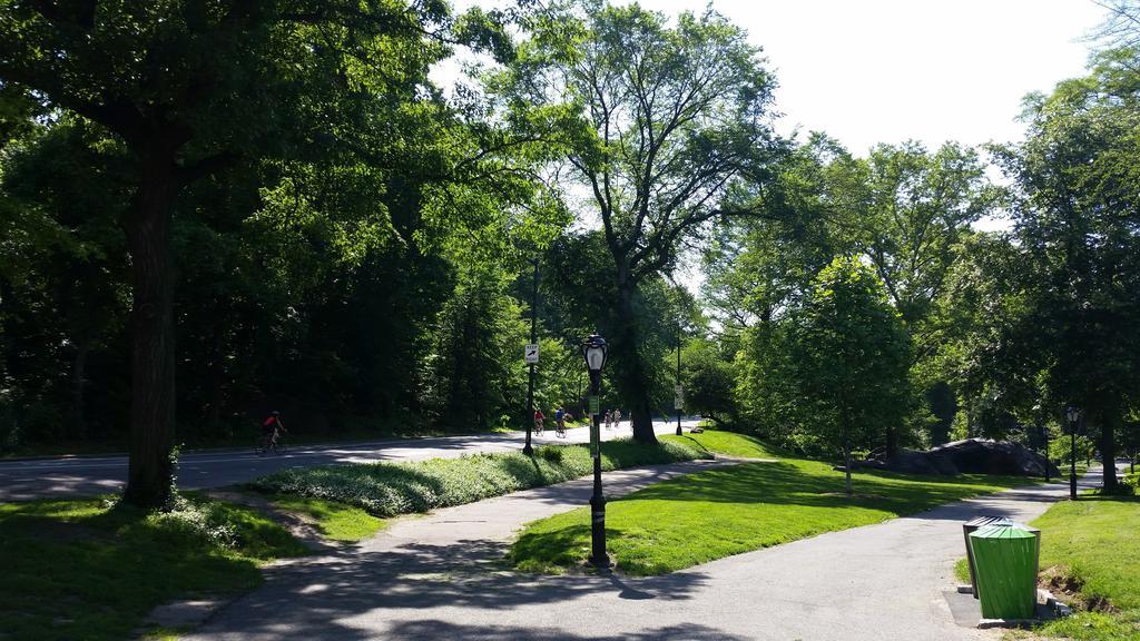 Guest house The Park North 3*