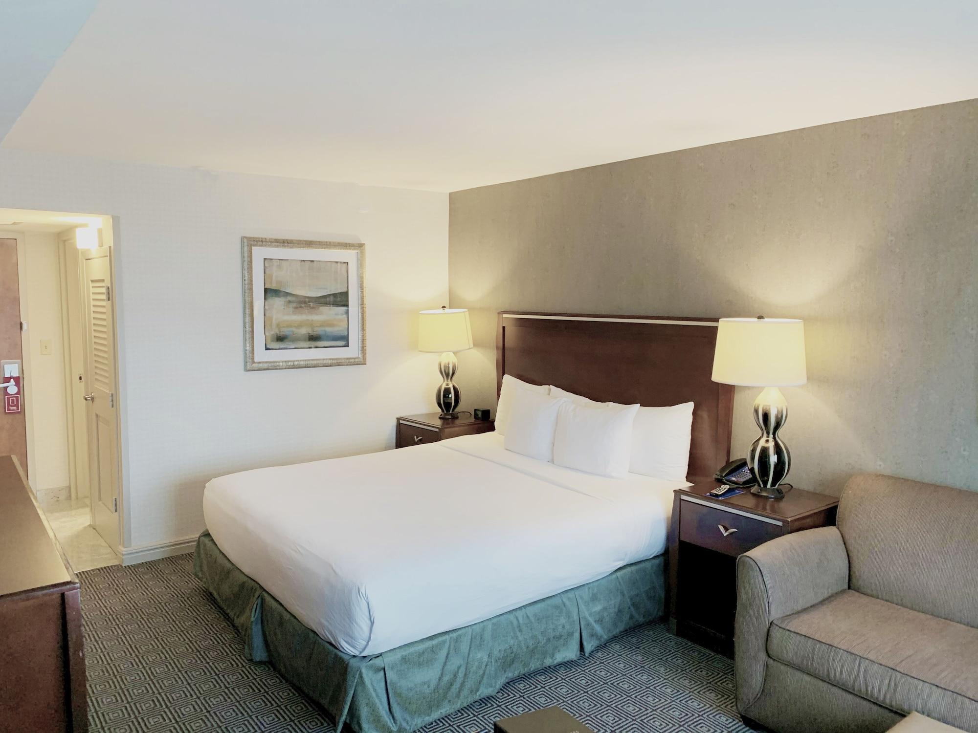 Hilton Jfk Airport 3* New York