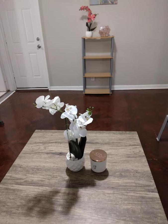 Brighton Apartment New York