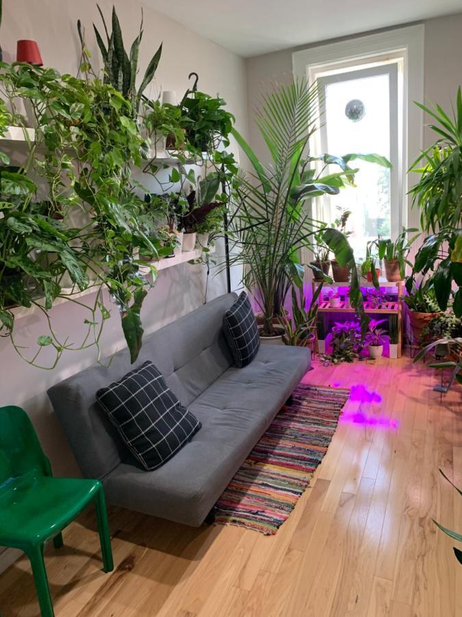 Urban Jungle Oasis In Queens!