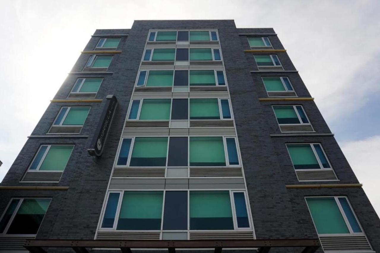 Umbrella Bronx New York