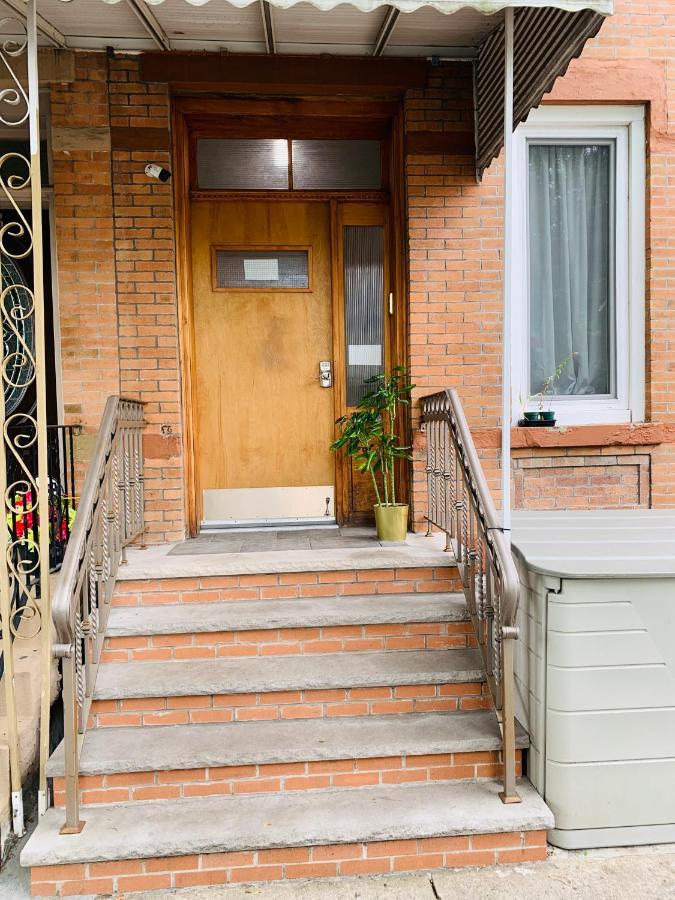 Urban Jungle Oasis In Queens! Homestay New York