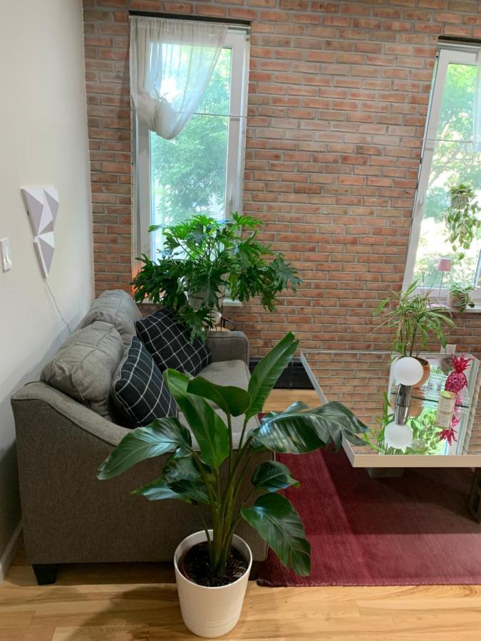 Urban Jungle Oasis In Queens! New York