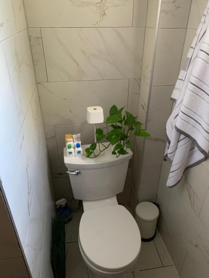 Urban Jungle Oasis In Queens! Homestay