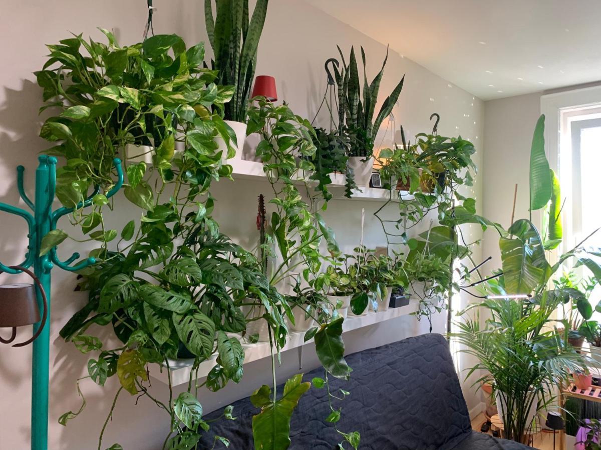 Homestay Urban Jungle Oasis In Queens! *