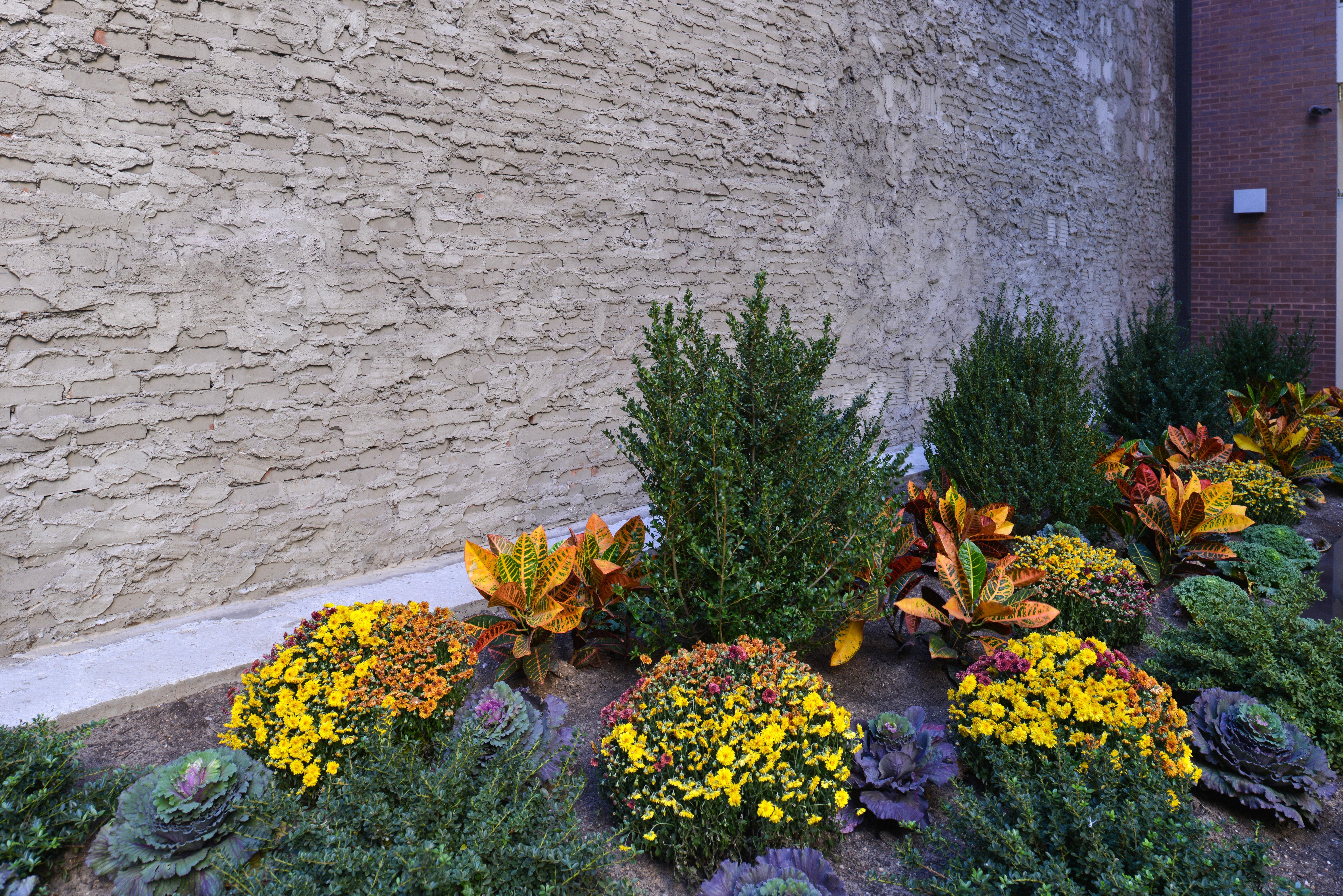 - Times Square By Ihg Hotel 3*