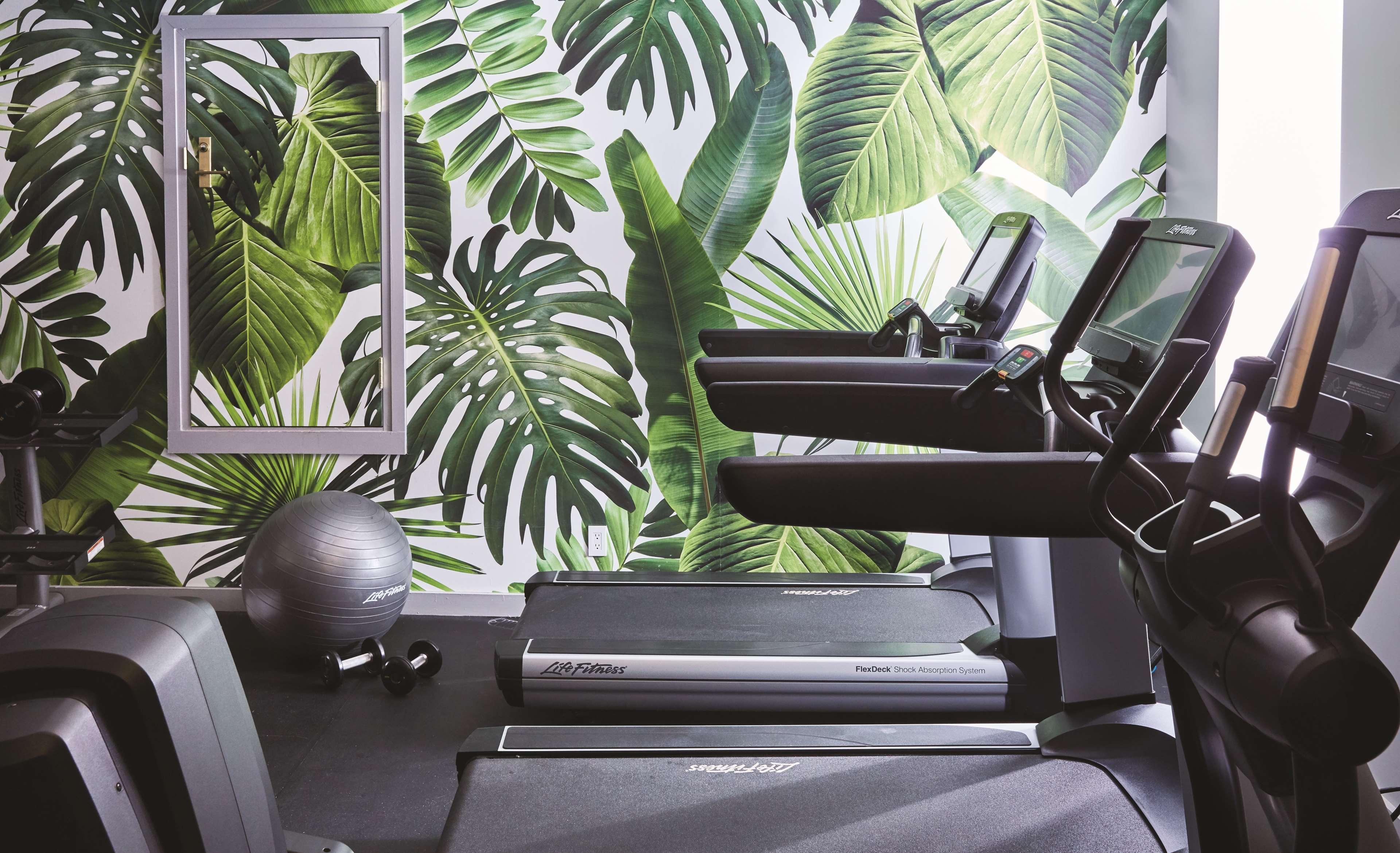 Seville Nomad - The Unbound Collection By Hyatt Hotel New York