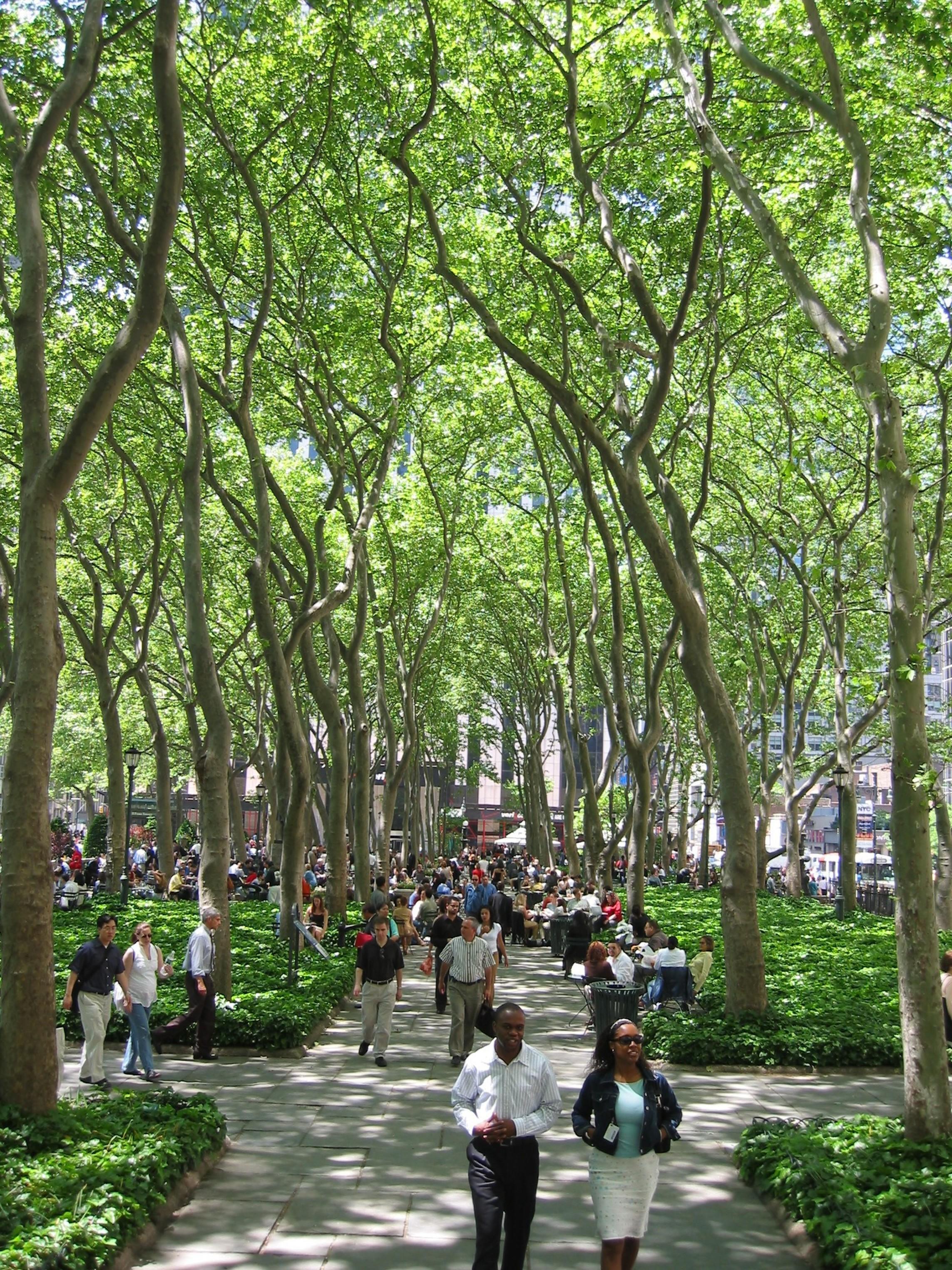 Bryant Park Hotel New York