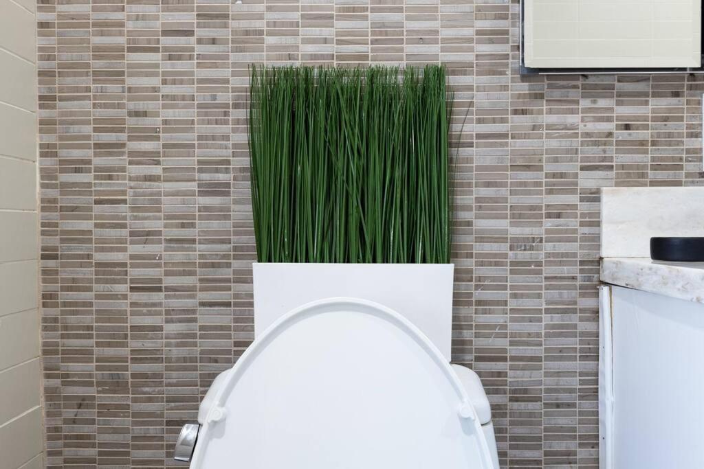 Apartment 809-6b 2br Duplex Breathtaking Views Beauty *