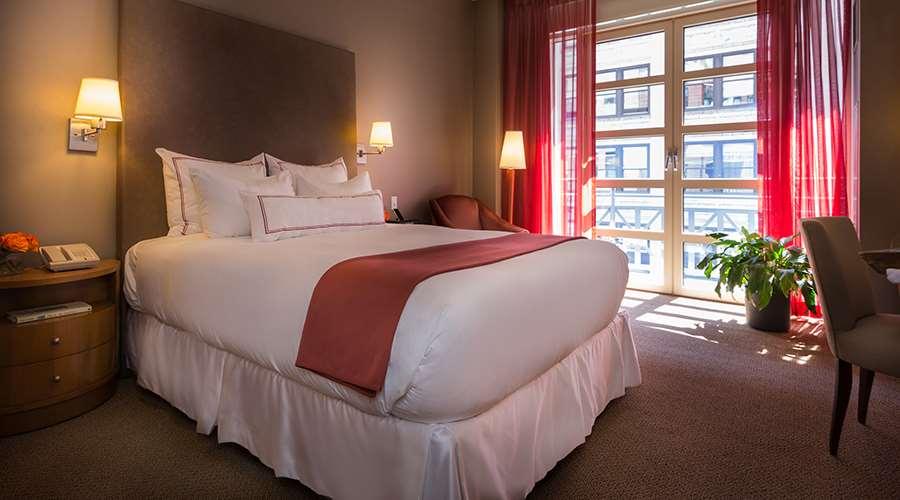 Giraffe By Library Collection