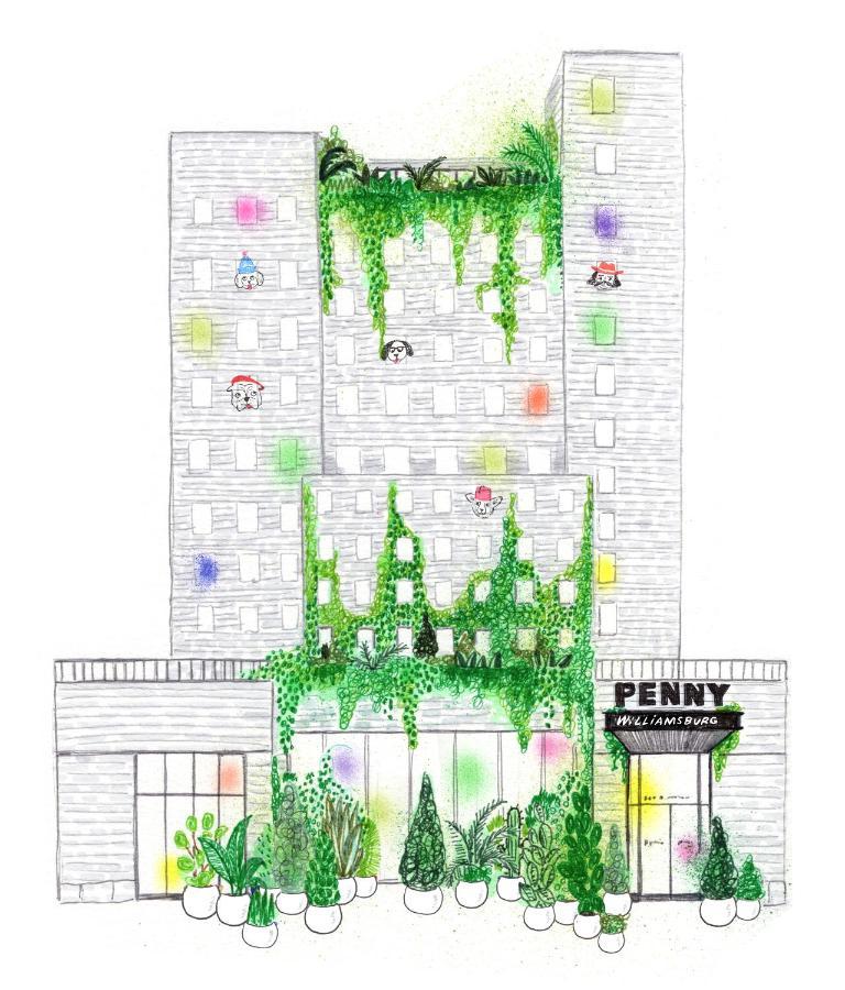 Penny Williamsburg 4*