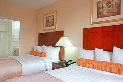 Western Arena New York